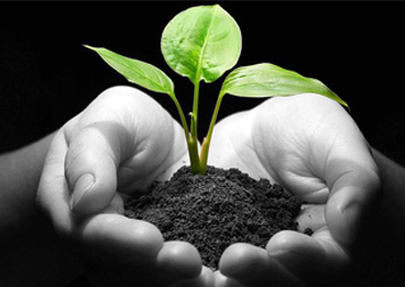 Online and Mobile Giving at Our Parish