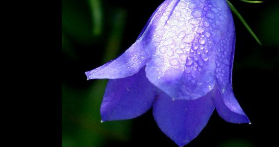 With love & gratitude…