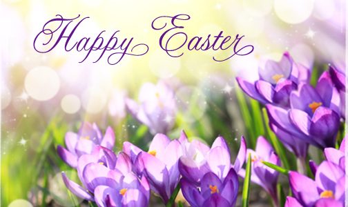 An Easter Message from Clergy & Staff at OLM