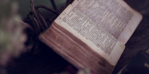 OLM Library – Book Review